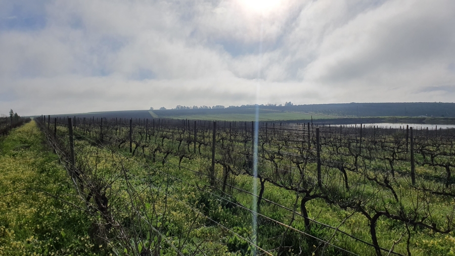 Commercial Property for Sale in Paarl Rural Western Cape